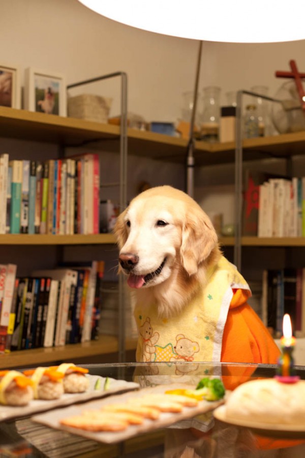 八歲 生日快樂!