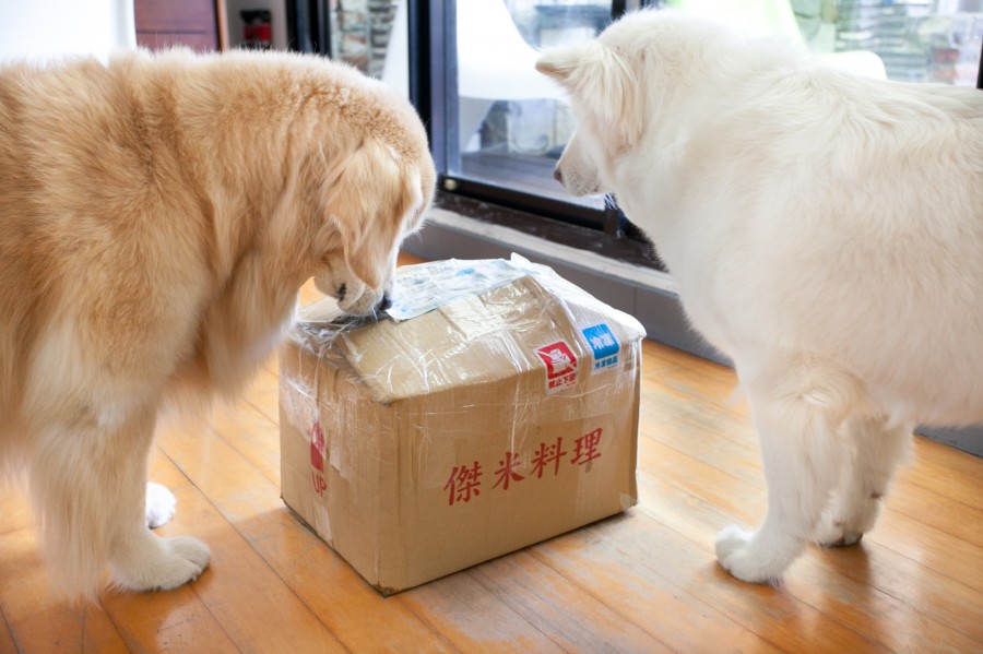 傑米料理