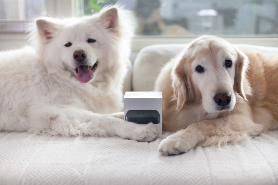 Apple TV