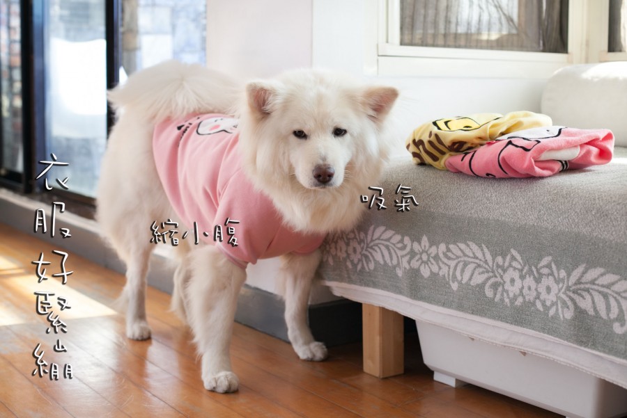 媽媽是白癡!
