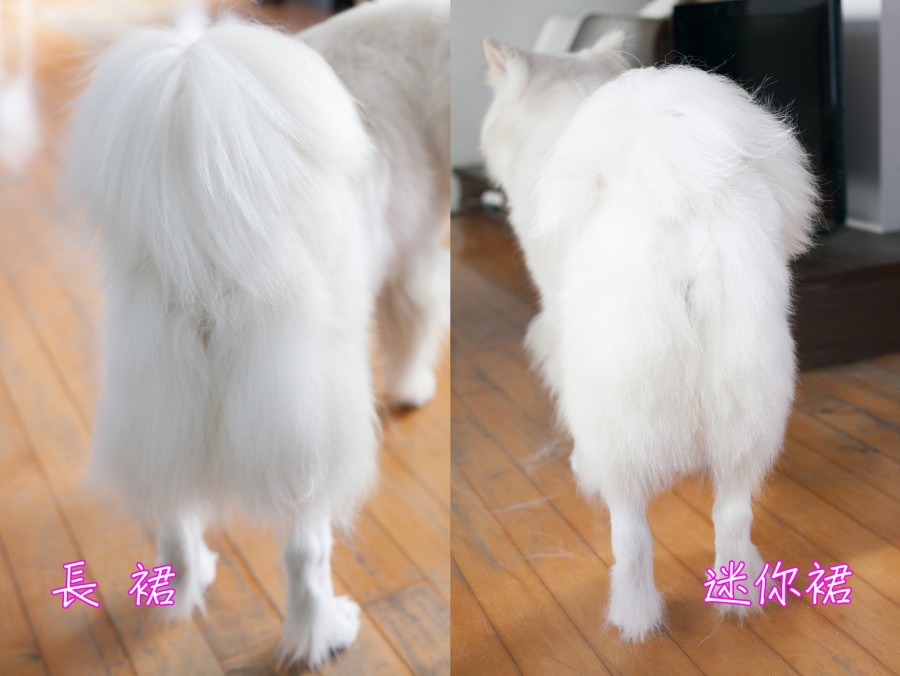 冬天穿迷你裙才迷人