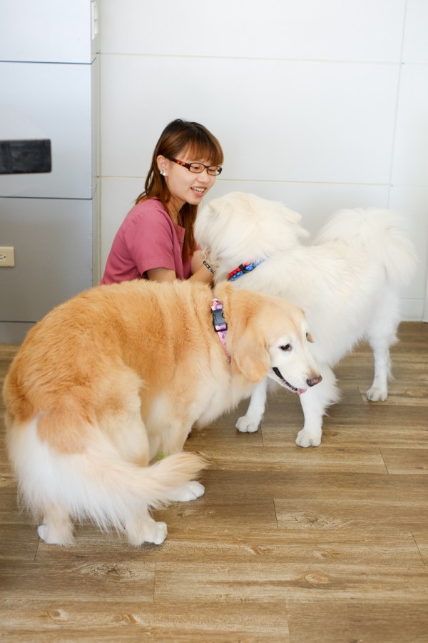 瘋狂討摸摸