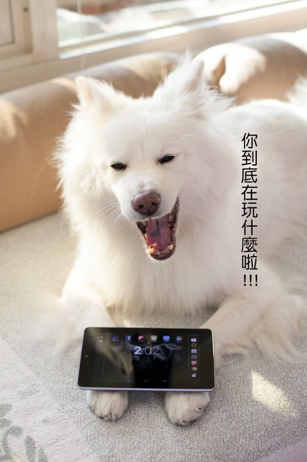 Nexus 7