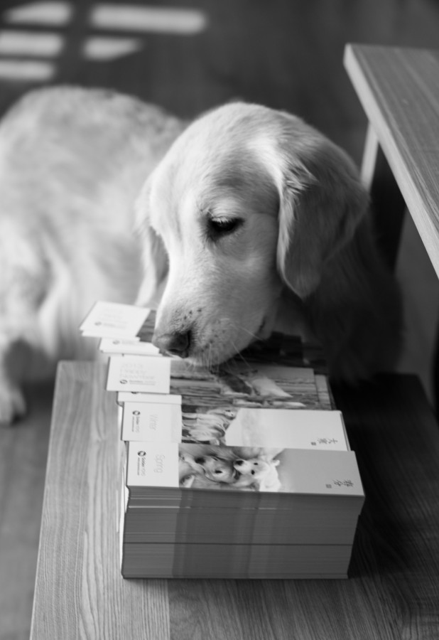 yo咩書卡 (一)