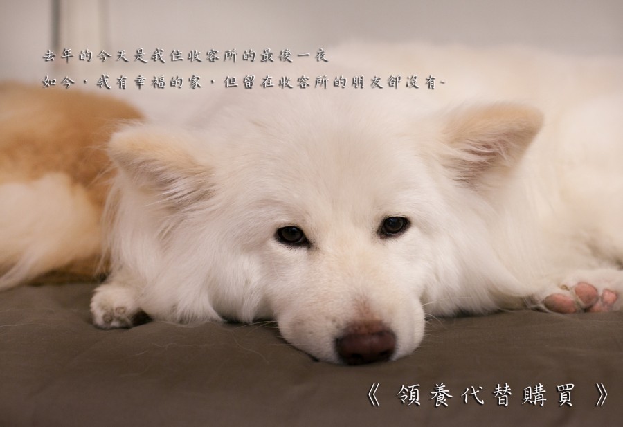 那一夜~