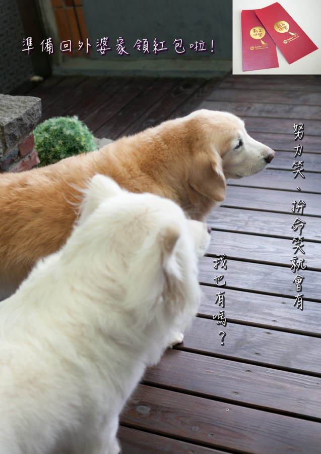 姐妹倆的對話…