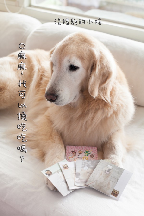 o家明信片