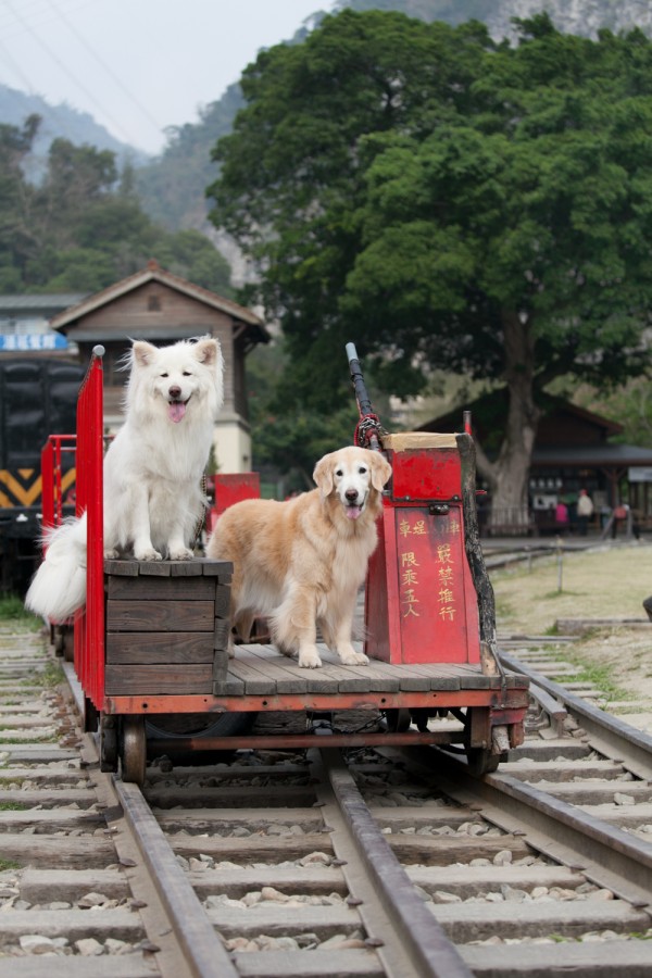 小旅行