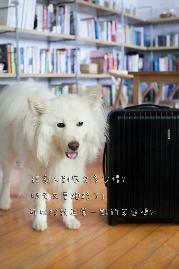 咩咩的心聲
