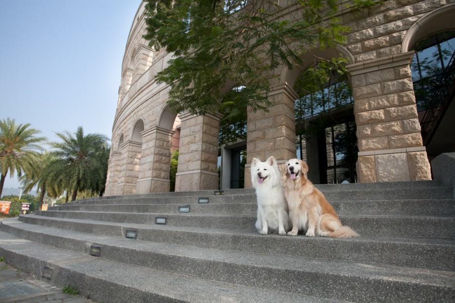 亞洲大學 (三)
