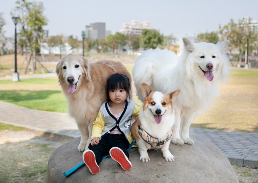 首爾生態公園