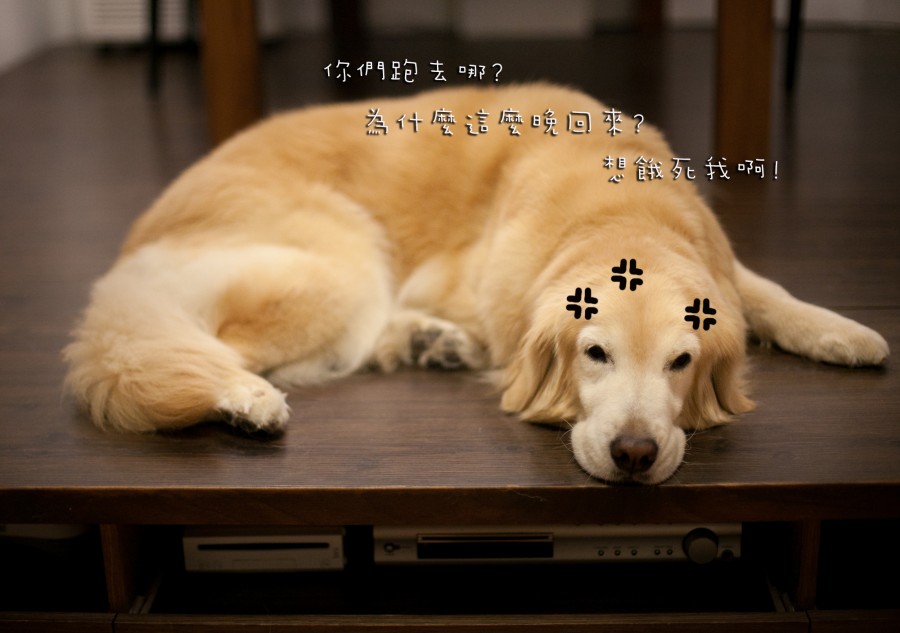 爸媽很心虛