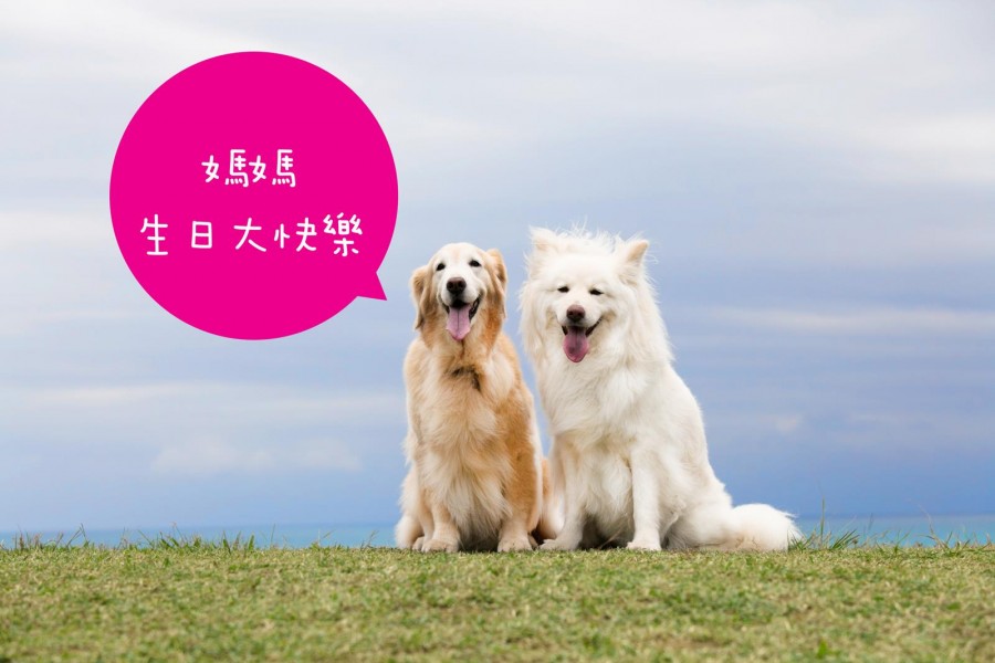 麻麻~ 生日快樂