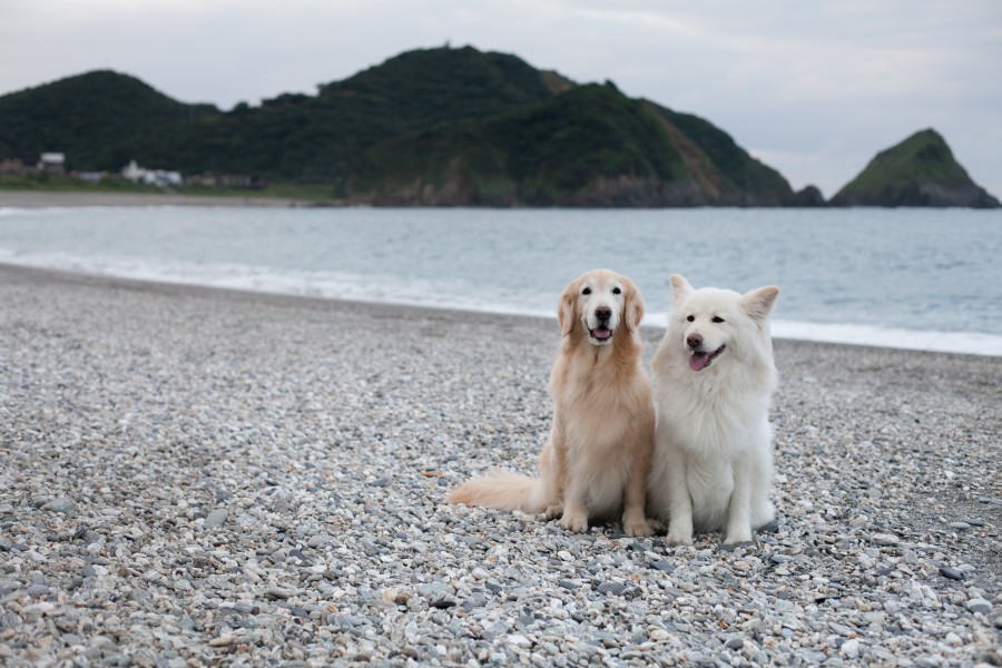 南方澳