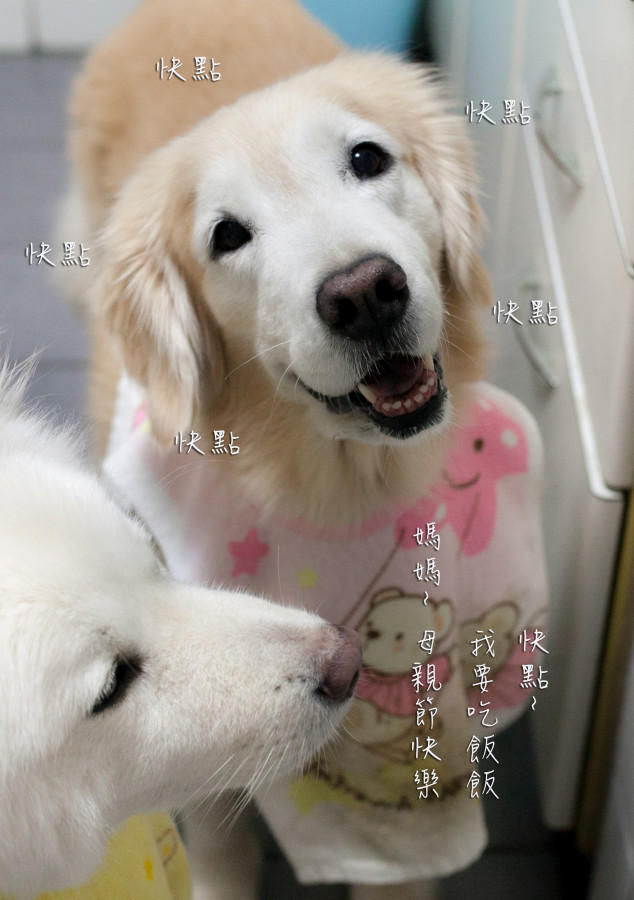 母親節快樂
