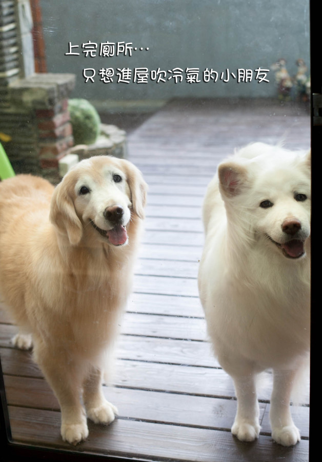 開門啦!
