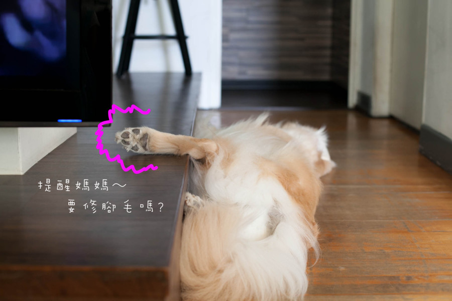 睡成醬是…