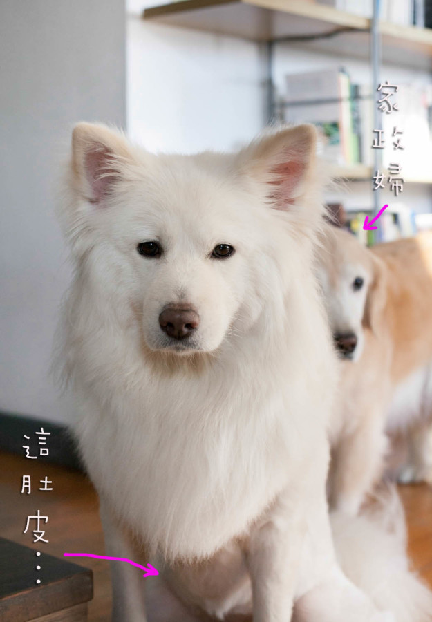 ㄛ…