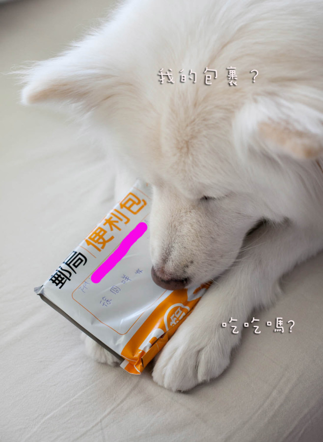冏咩包裹