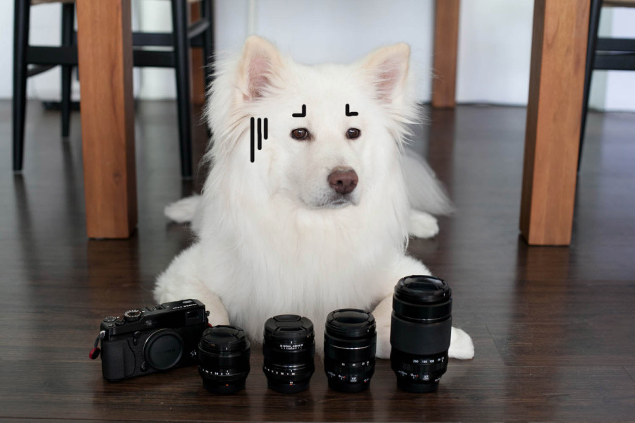 敗家
