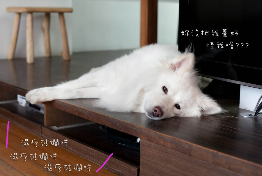 濕疹破爛咩