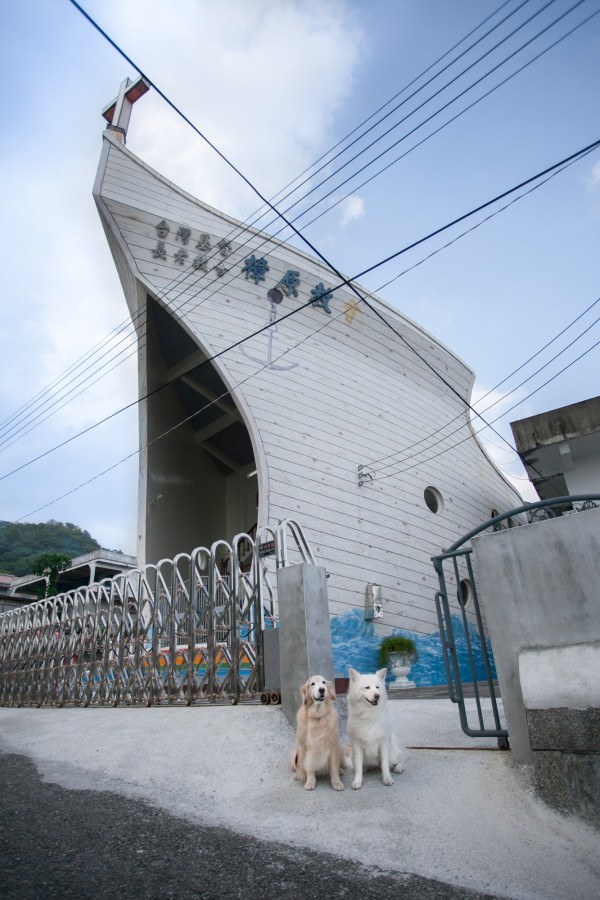 遊客模式啟動