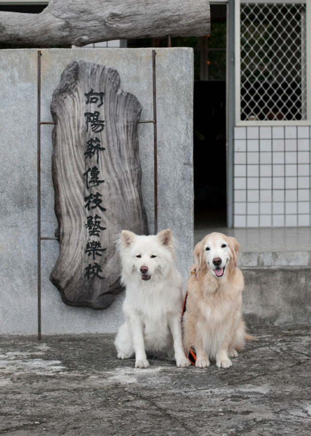 敗家