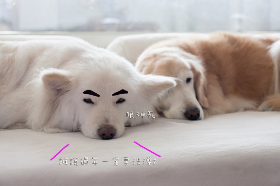 臭小孩洗香香